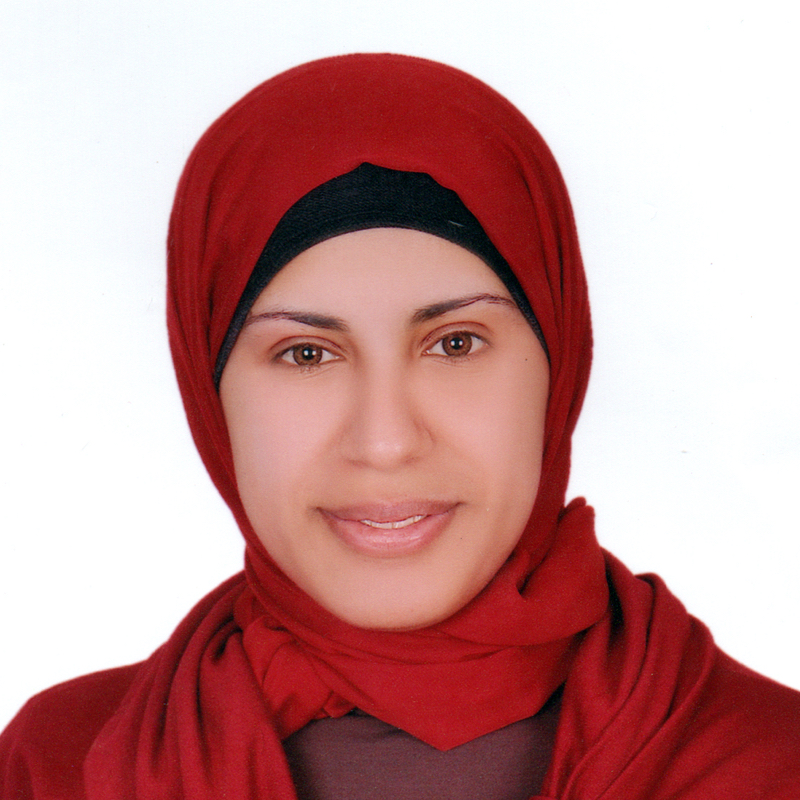 Dr. Walaa AlSayed