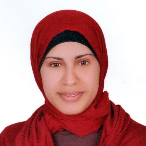 Dr. Walaa Elsayed 