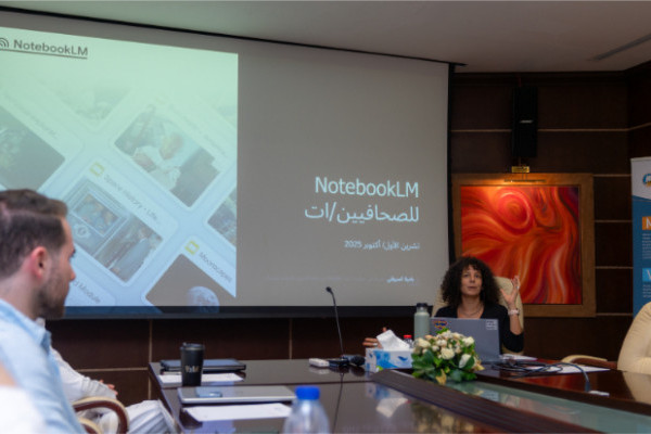 Training workshops for Mass Communication students in Collaboration with the 