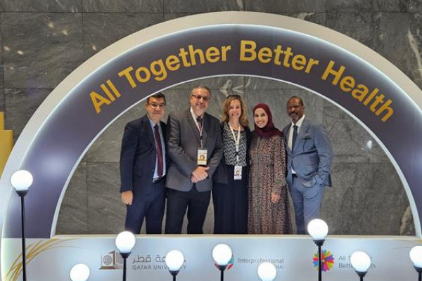 Presenting the SSC models during the 