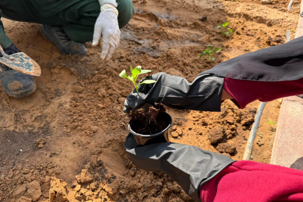 Green Hostel Day – Plant & Grow Workshop