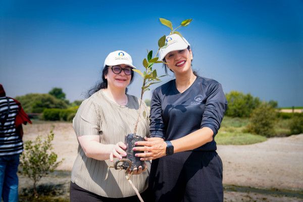 Ajman University Resumes the Mangrove Planting Initiative in Collaboration with Al Zorah Golf Club and Quest for Adventure