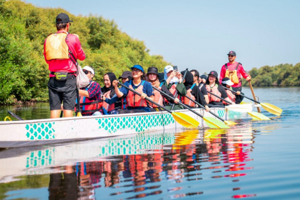 Ajman University Contributes Towards Planting of 10,000 Mangrove Trees on World Environment Day
