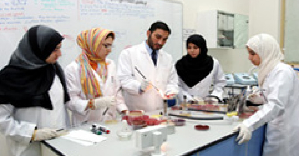 Ajman University Students finish internship at UAE hospitals and pharmacies