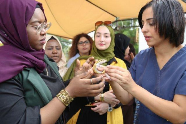 طالبات الجامعة يطلقن مبادرة 