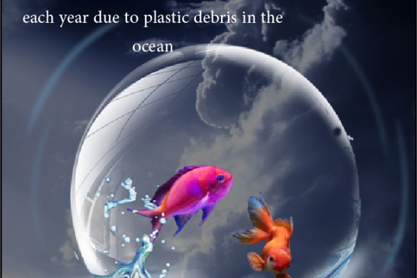 Graphic Design students design creative designs during their graduation exhibition