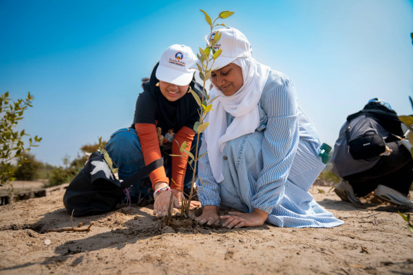 Ajman University Resumes the Mangrove Planting Initiative in Collaboration with Al Zorah Golf Club and Quest for Adventure