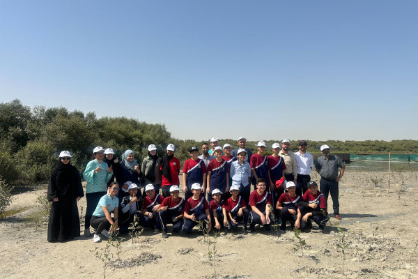 Ajman University Resumes the Mangrove Planting Initiative in Collaboration with Al Zorah Golf Club and Quest for Adventure