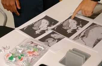 Cardiology Student Club Teaches Blood Pressure Management and IV Cannulation
