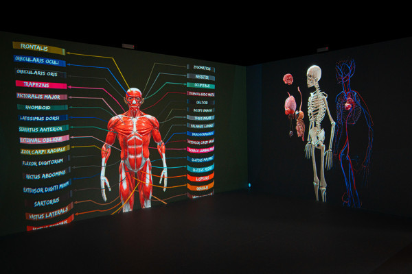 Ajman University Launches Immersive & Virtual Lab and PharmaPro Learning Hub to Advance Health Education