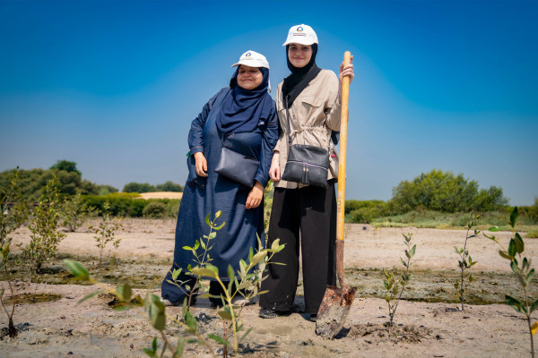 Ajman University Resumes the Mangrove Planting Initiative in Collaboration with Al Zorah Golf Club and Quest for Adventure