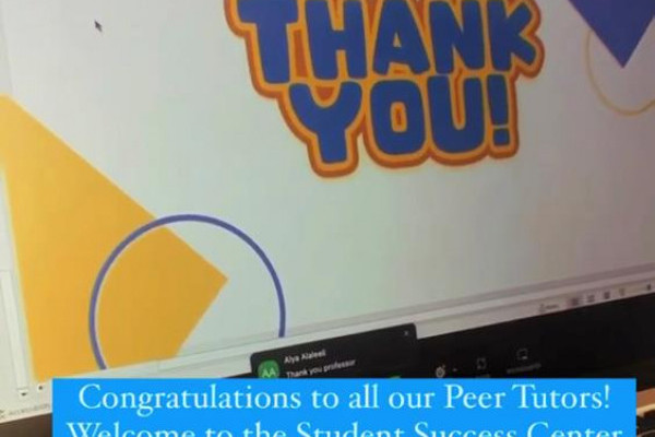 Peer Tutor’s Training Sessions