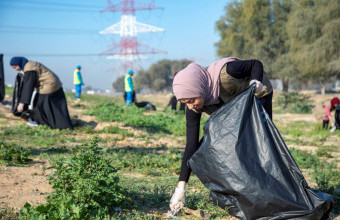 Ajman University Gives Back to the Environment