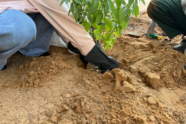 Green Hostel Day – Plant & Grow Workshop _7