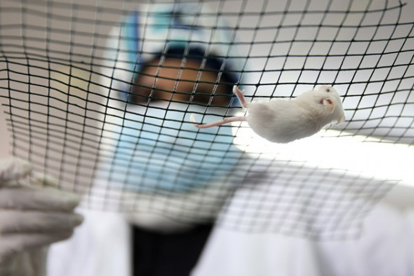 AUST researches conduct unique experiment to treat Depression, Anxiety & Diabetes