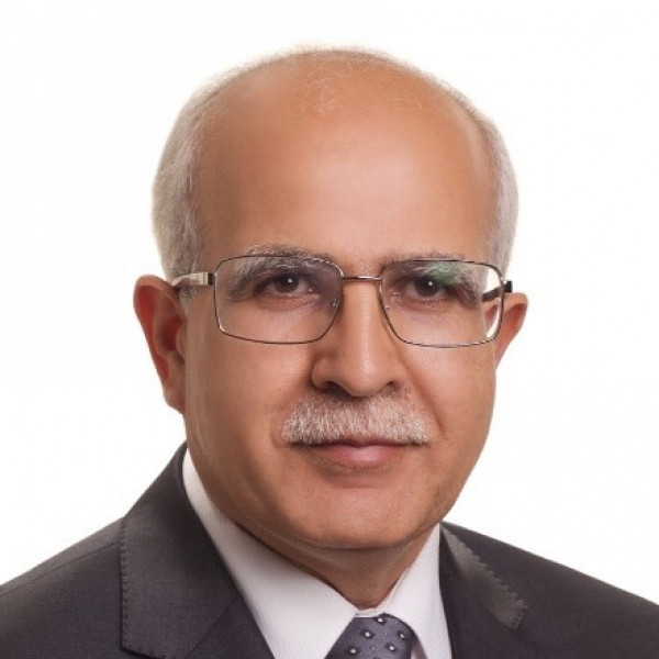 Prof. Shaher Momani