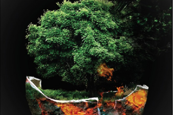 Graphic Design students design creative designs during their graduation exhibition