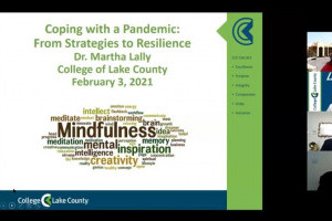 Webinar Discusses “Coping with a pandemic: from strategy to resilience”