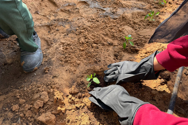 Green Hostel Day – Plant & Grow Workshop _6