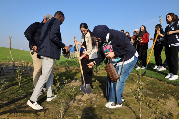 جامعة عجمان تطلق مبادرة لزراعة أشجار القرم بالتعاون مع نادي الزوراء للجولف
