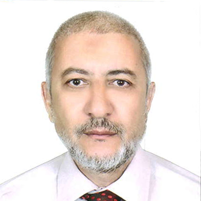 Mamdouh Mohamed El Demerdash