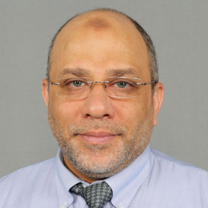 Mohamed Abdulaziz Mohamed Elsayed