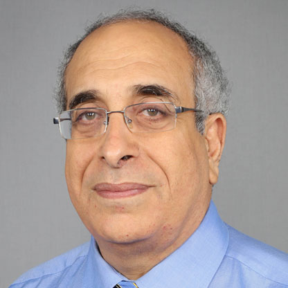 Ayman El Sayed A. Tawfik